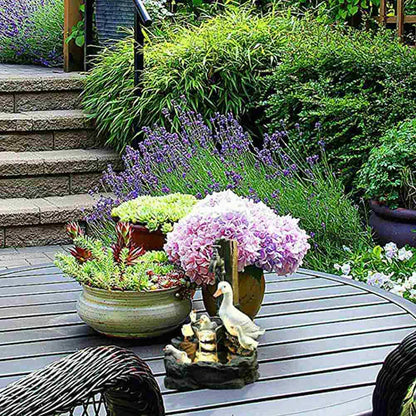 Tranquil Waters Duck Feature Gentle Flow for Relaxing Outdoor Spaces
