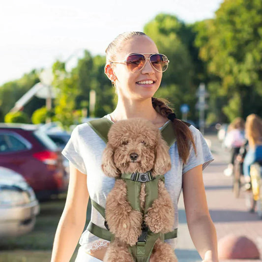 Urban Explorer Shoulder Carrier Perfect for Walks and Errands with Your Pet