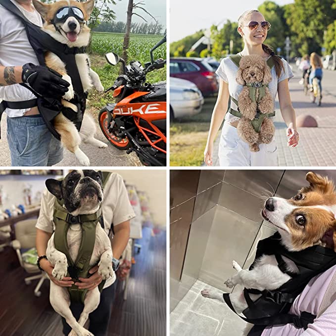 Urban Explorer Shoulder Carrier Perfect for Walks and Errands with Your Pet